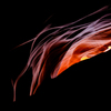 Antelope Canyon