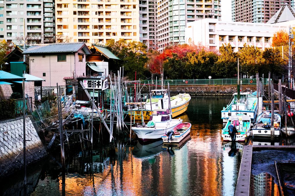 tokyopoem
