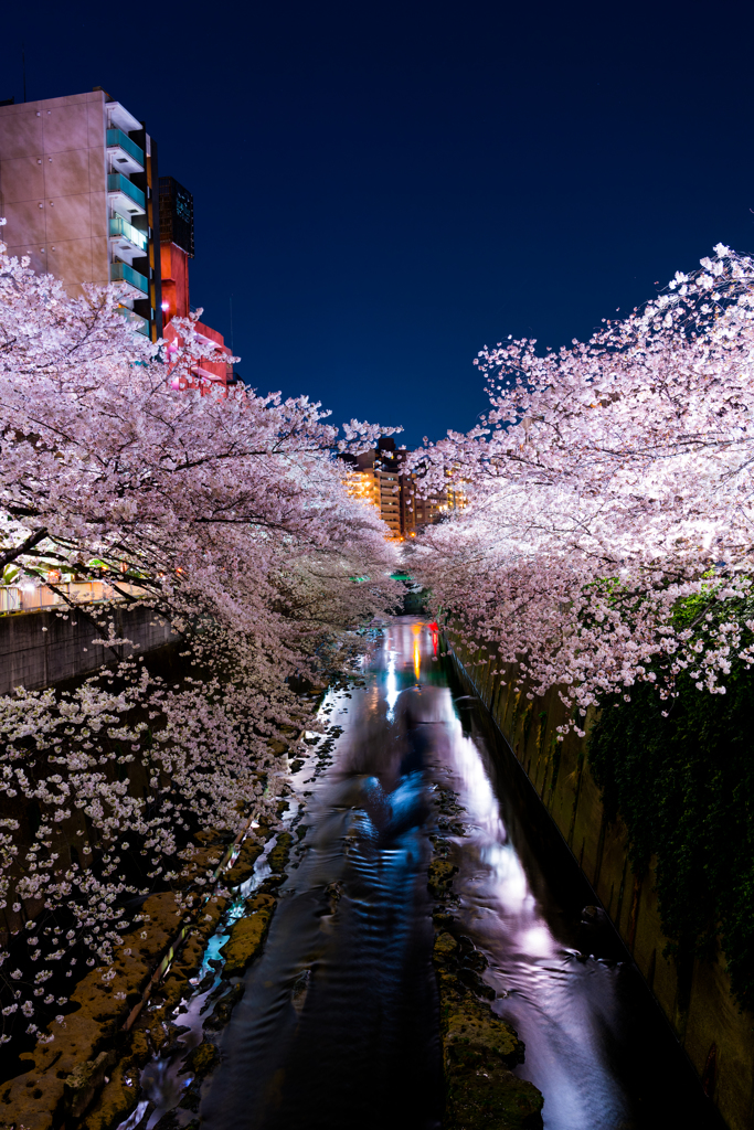 tokyo night