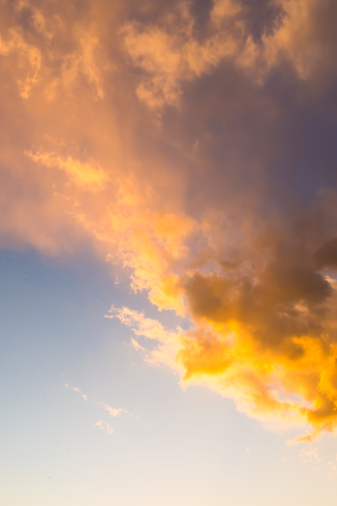 雲