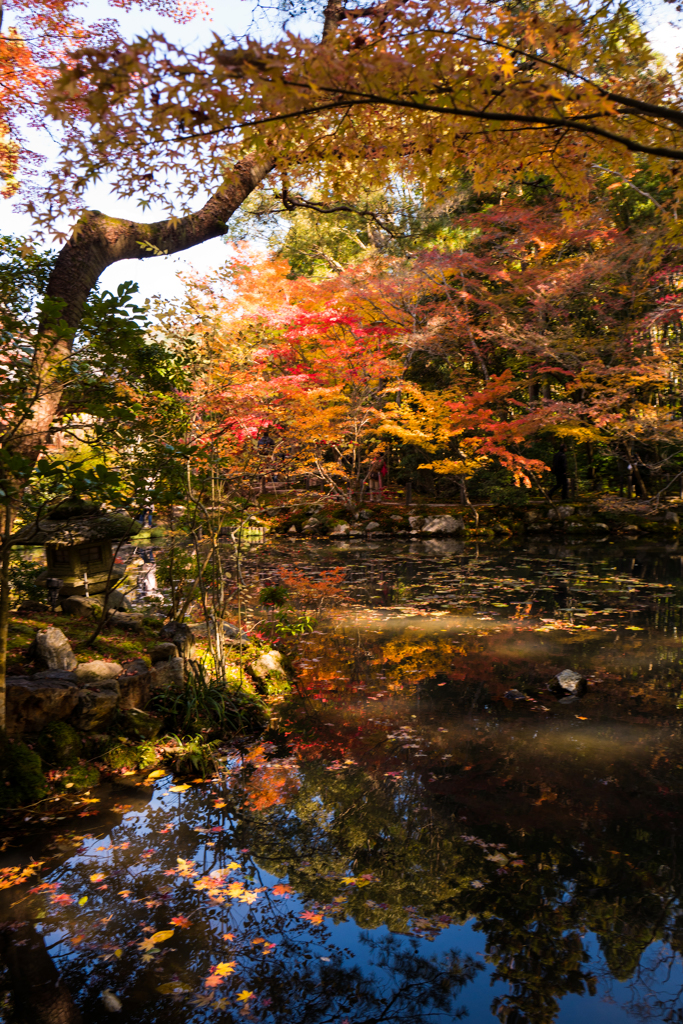 京秋