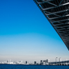 tokyo blue