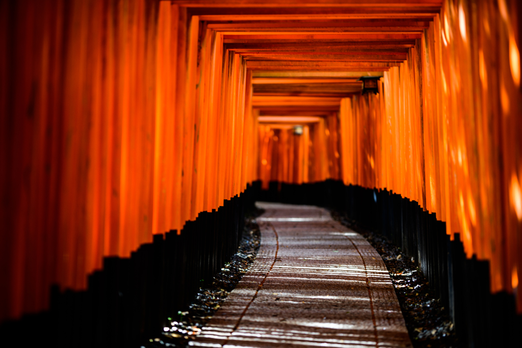 千本鳥居