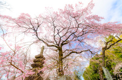 春風