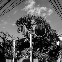 tokyopoem