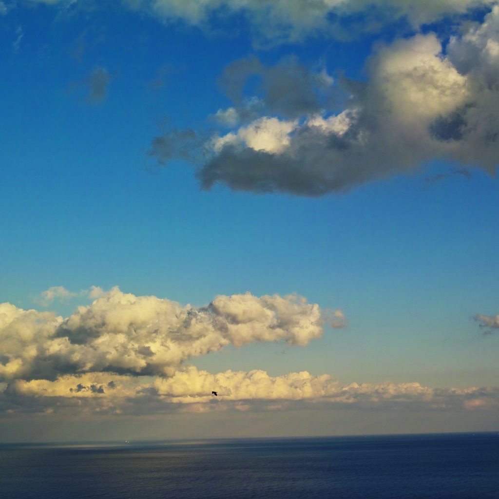 海と雲と鳥