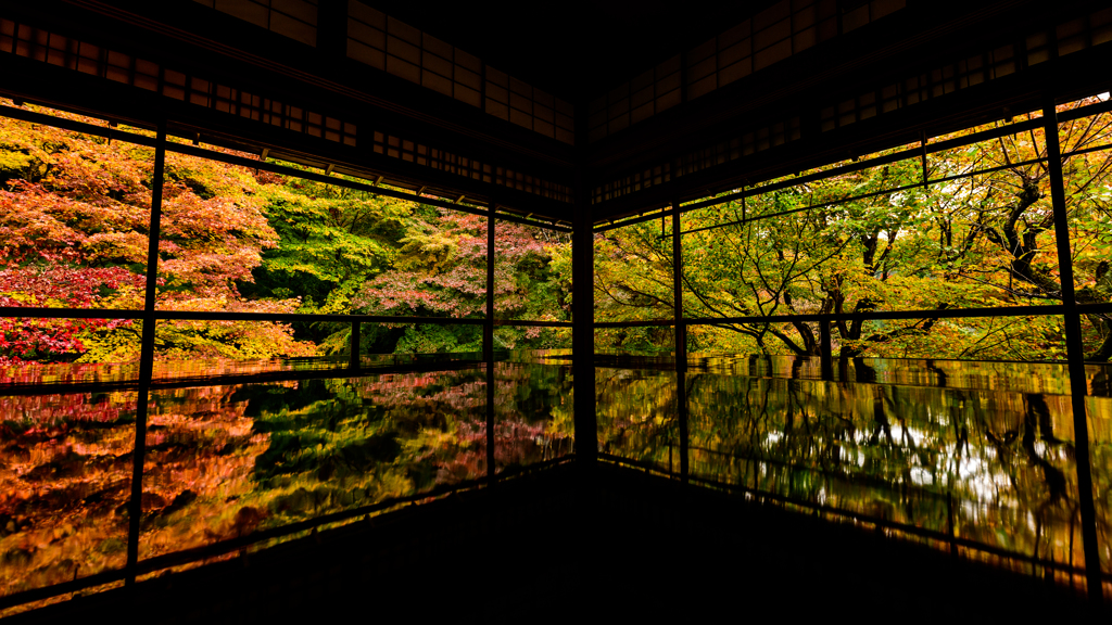 瑠璃光院