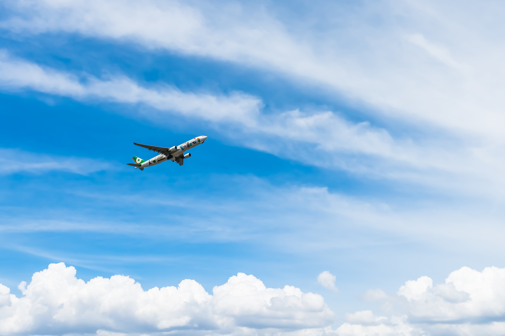 Flight