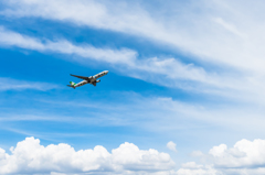 Flight