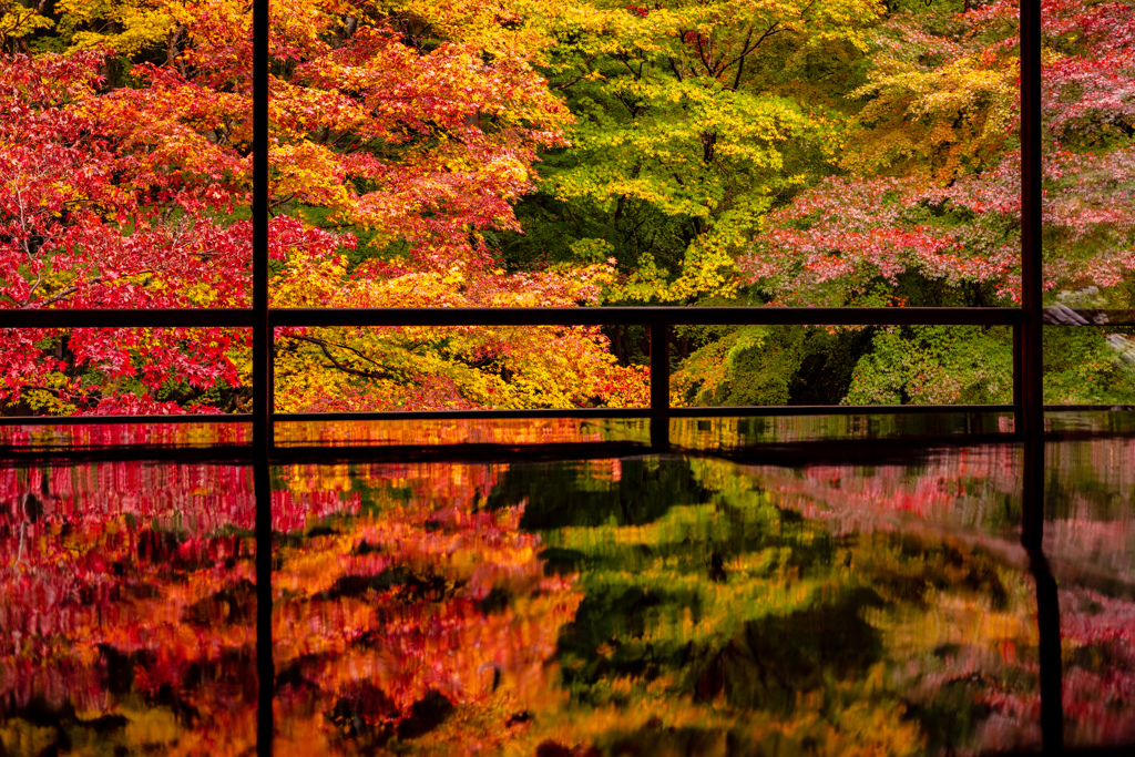 瑠璃光院