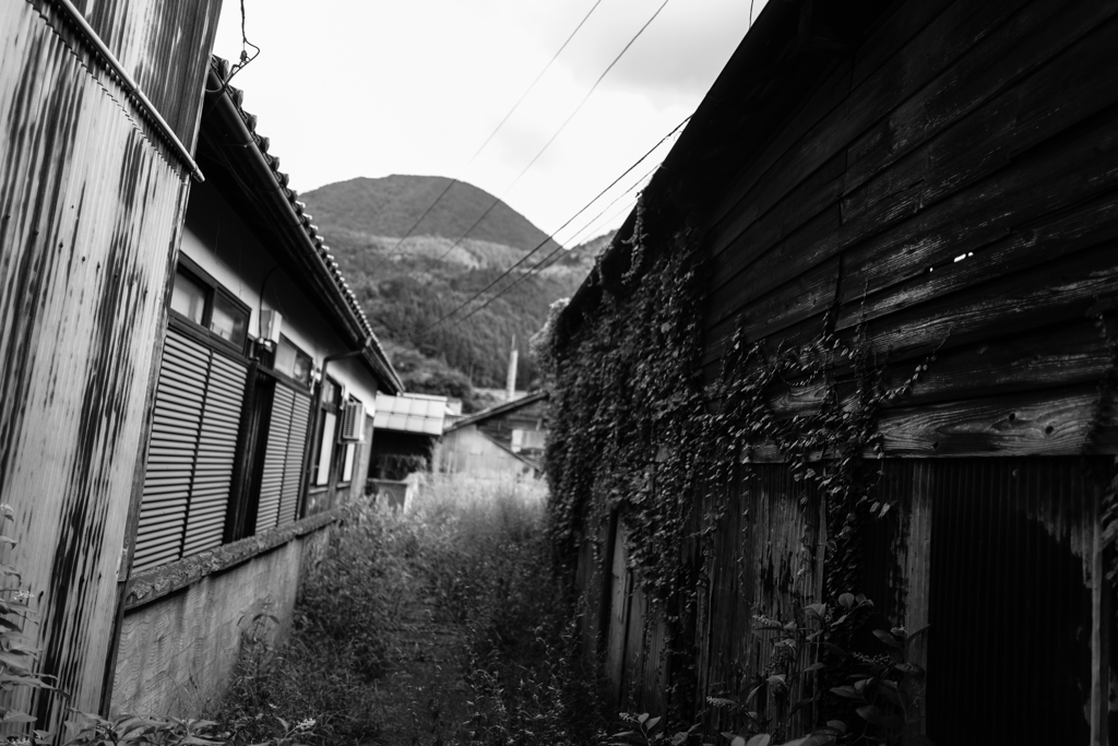 夏旅　津和野