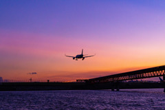 fly