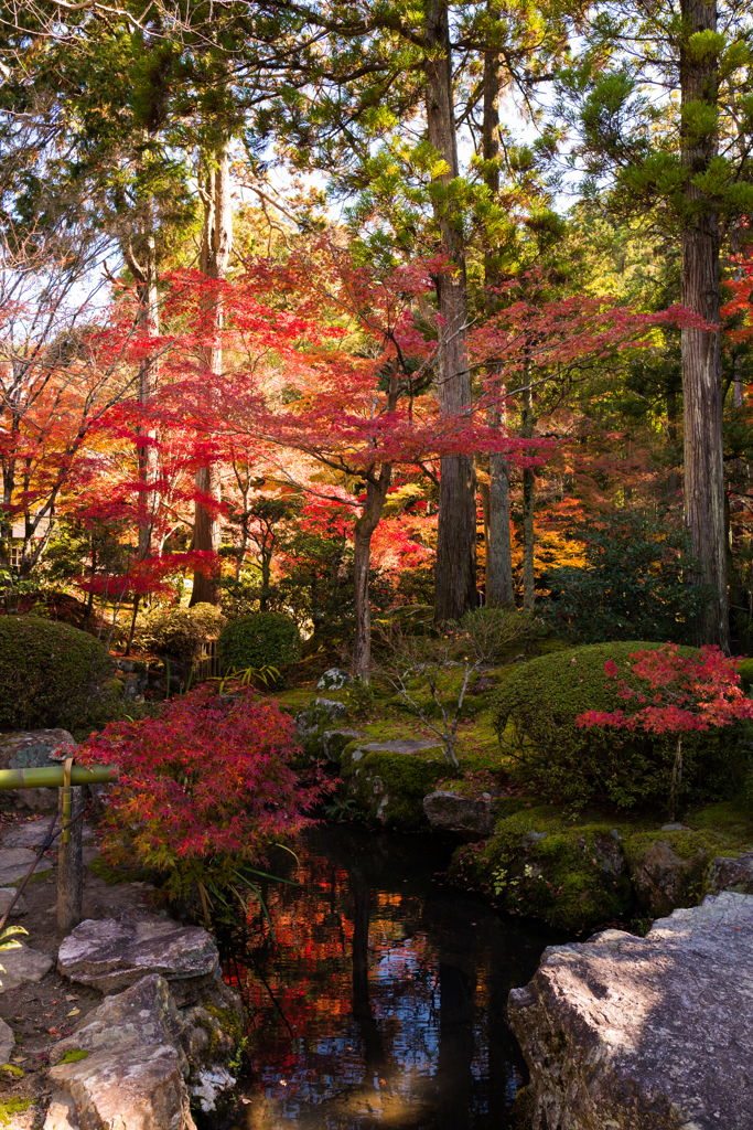 京秋
