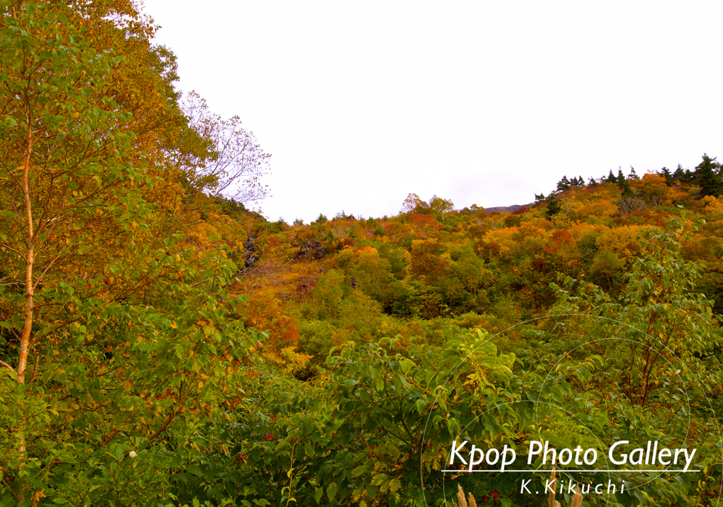 赤や黄色の紅葉が眩しい栗駒山！