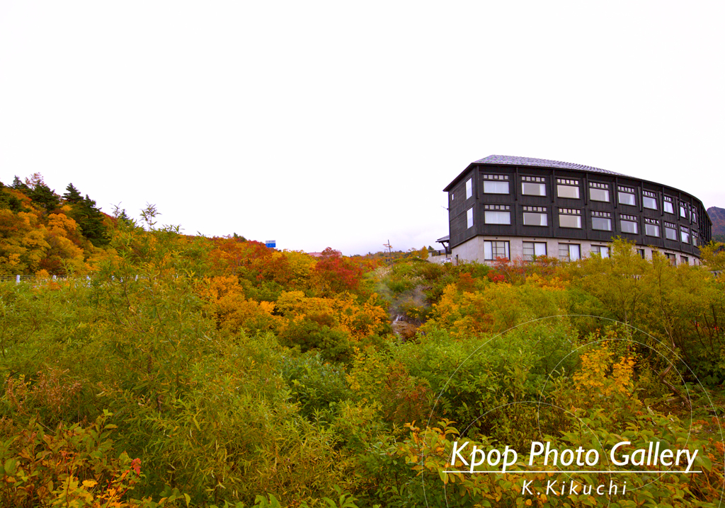 赤や黄色の紅葉が眩しい栗駒山！