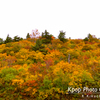 赤や黄色の紅葉が眩しい栗駒山！