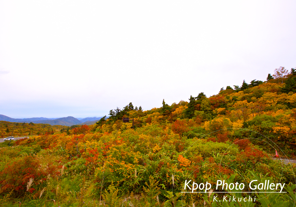 赤や黄色の紅葉が眩しい栗駒山！