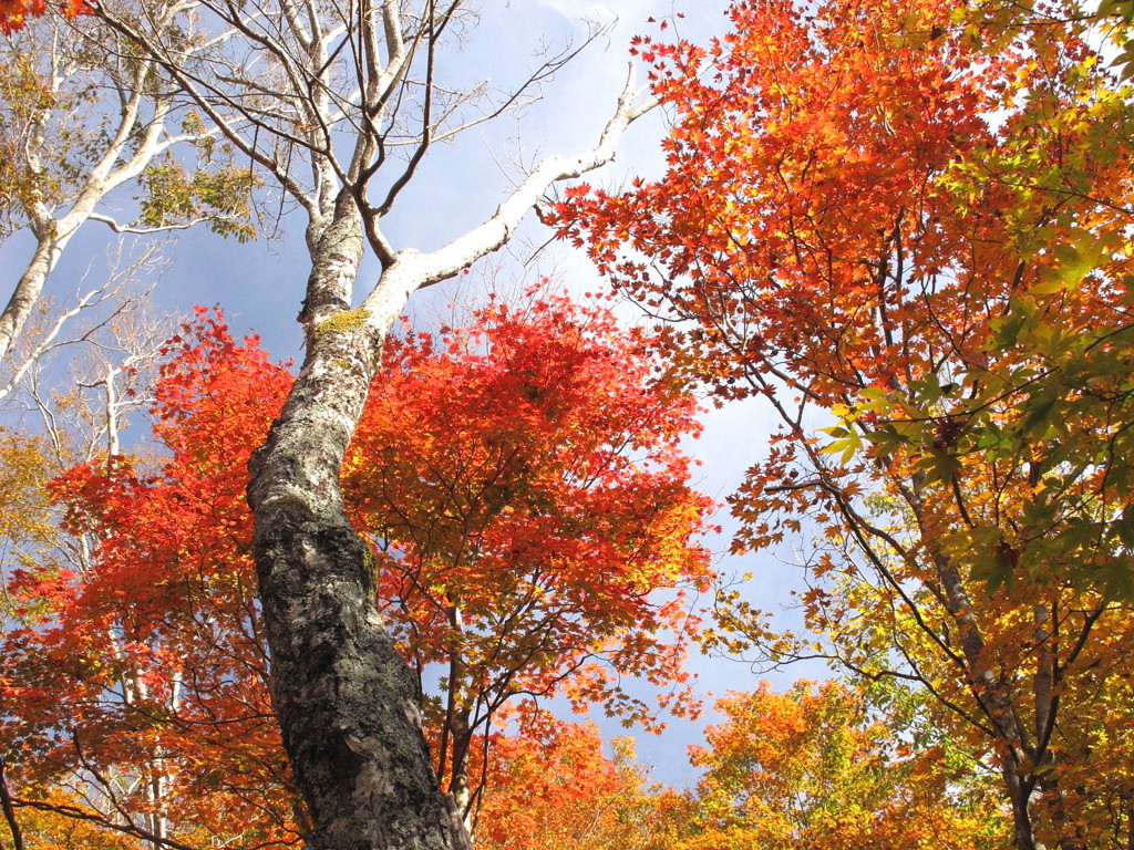 天川・観音峰