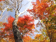 天川・観音峰