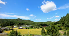 天野の里