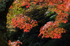 延命寺