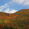 東北錦秋