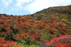 東北錦秋