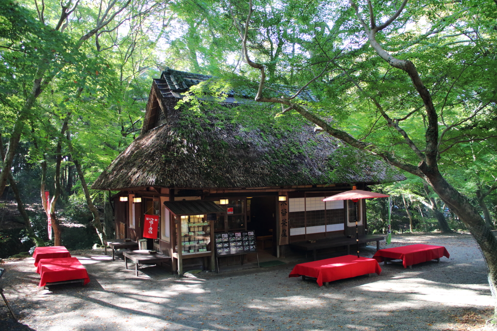 春日の野に
