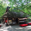 春日の野に