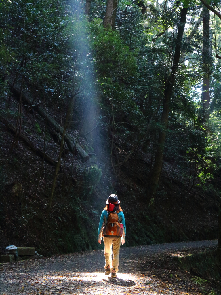 Spot Light
