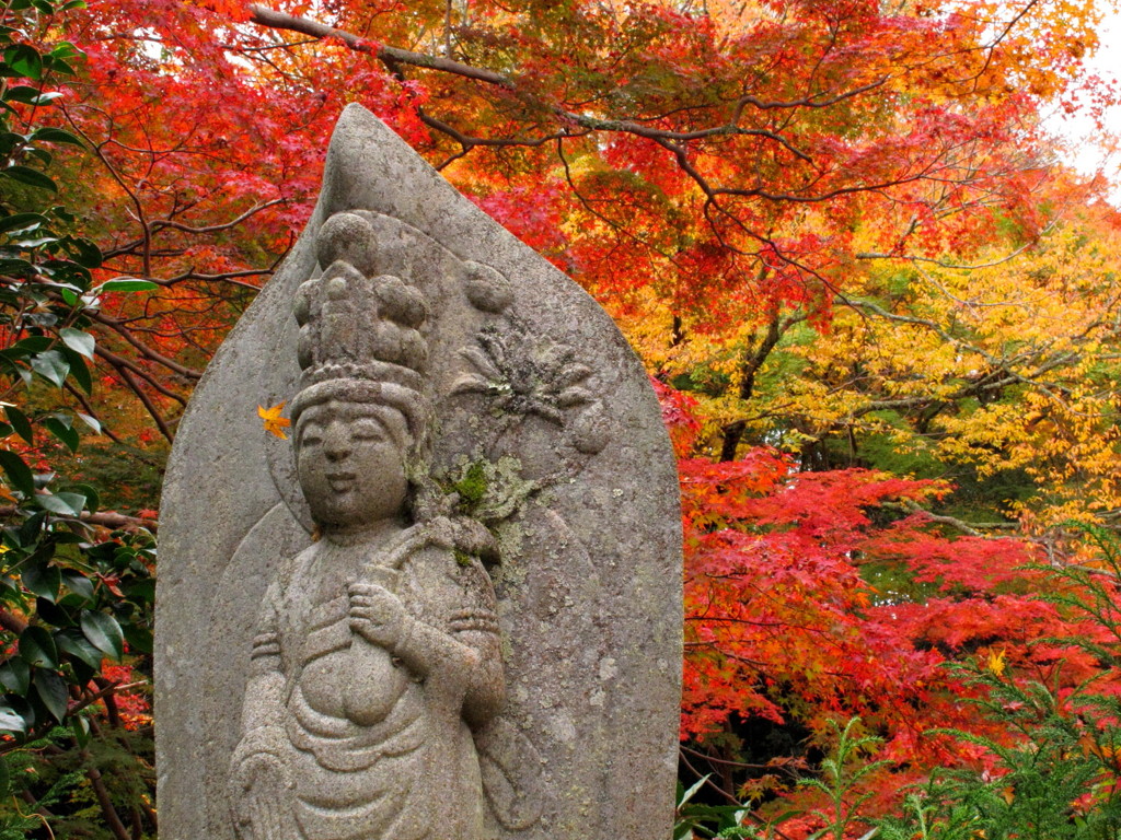 仏様も紅葉狩り