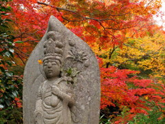 仏様も紅葉狩り