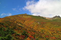 東北錦秋