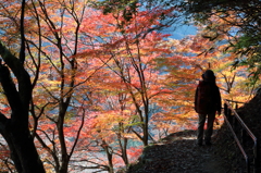 紅葉吉野3