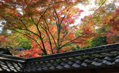 延命寺