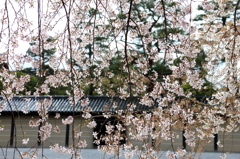 京都御所