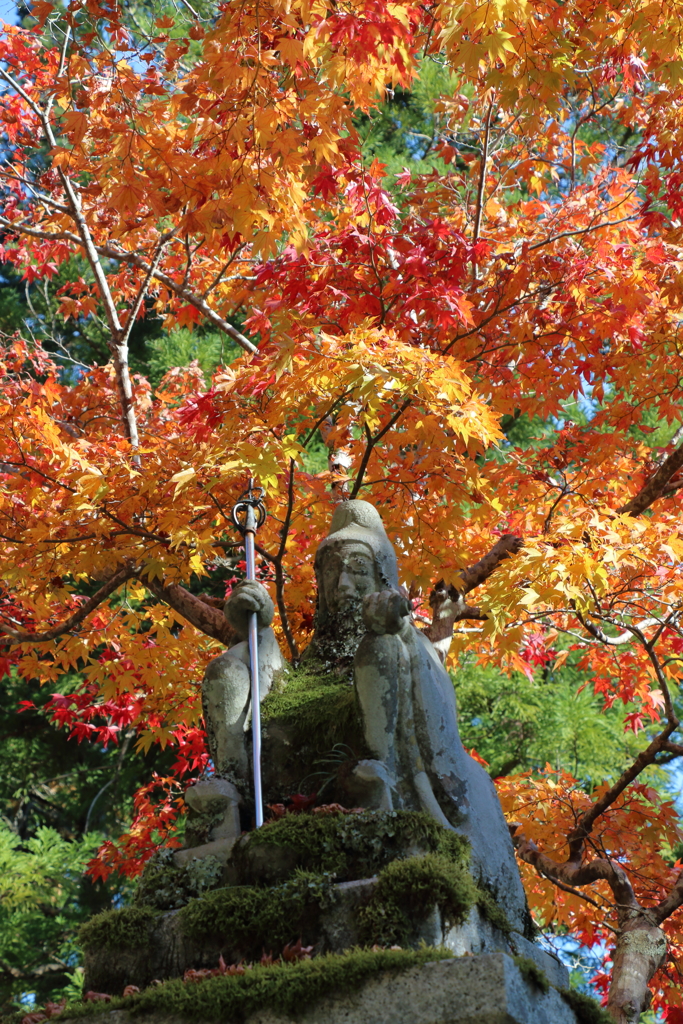 天川秋景