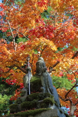 天川秋景