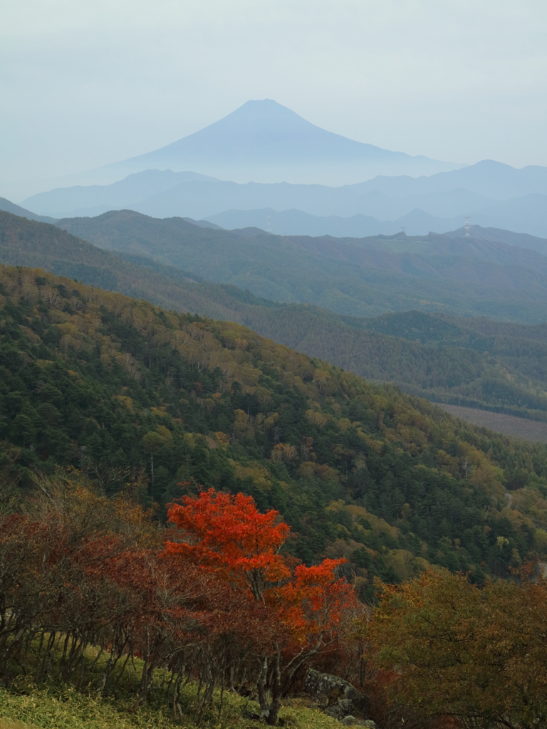 峠の富士