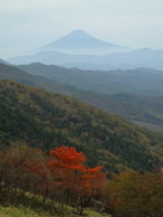 峠の富士