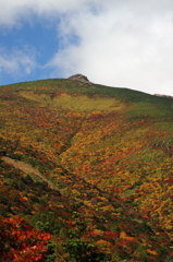 東北錦秋