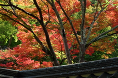 延命寺3