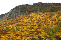 東北錦秋