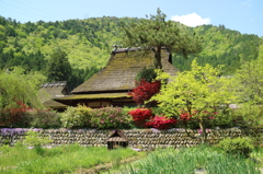 山里の春