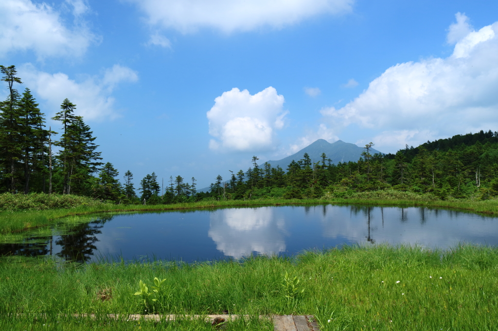 夏の思い出