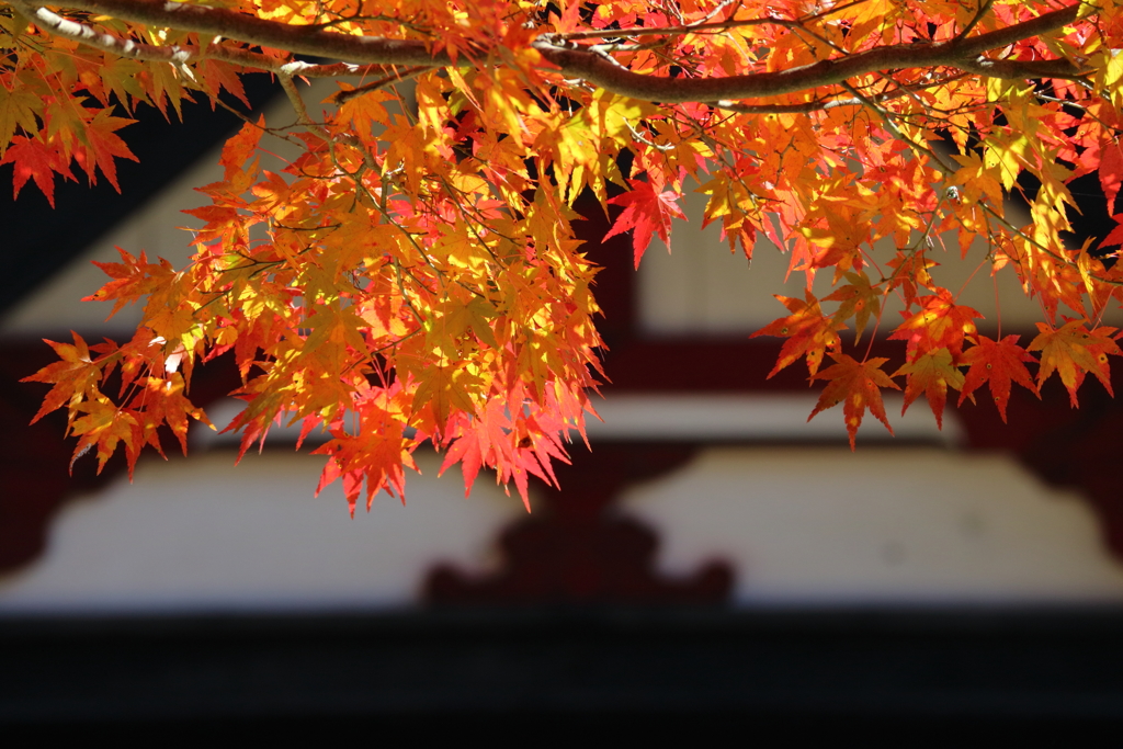 談山神社