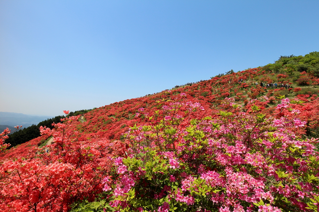天への花園