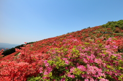 天への花園