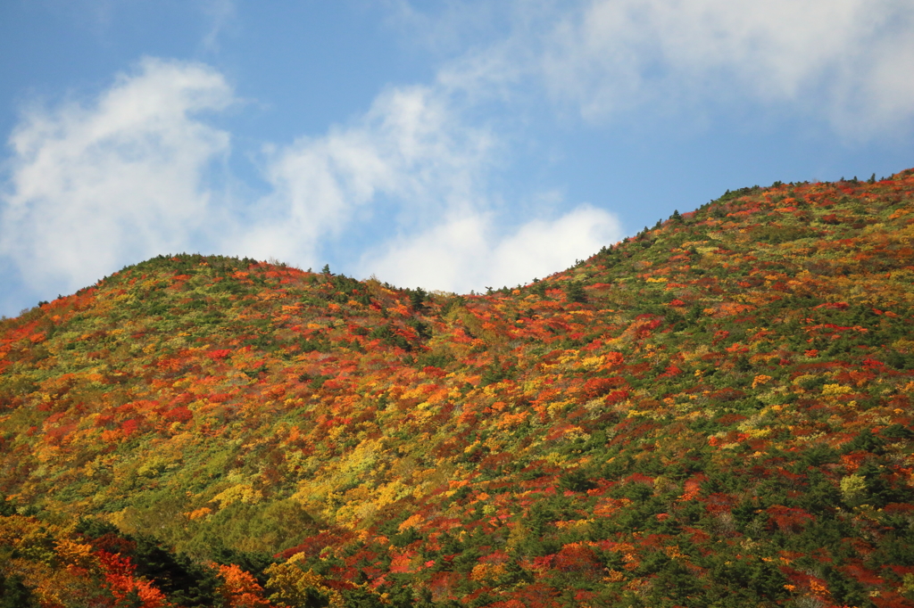 東北錦秋