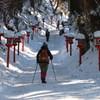 金剛山　葛木神社参道